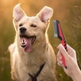 thumbnail image 2 of Peine de Doble Cara - Dientes de Acero Inoxidable, Anti-Rayaduras, Desenredante - para el Cuidado del Pelo del Perro y del Gato, 2 of 8