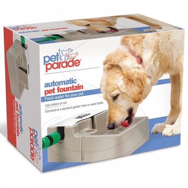 Automatic Pet Fountain Walmart Canada