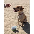 thumbnail image 2 of True Pets Freeze-Dried Beef Liver Dog Treats, 2 oz. bag, 2 of 5
