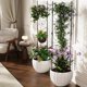 thumbnail image 3 of 4 pcs negra metal rustproof garden trellis plant support para climbing roses vine vegetables y flowers, 3 of 6