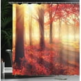 thumbnail image 4 of Ambesonne Fall Shower Curtain, Misty Morning in Forest, 69"Wx75"L, Yellow Red, 4 of 5