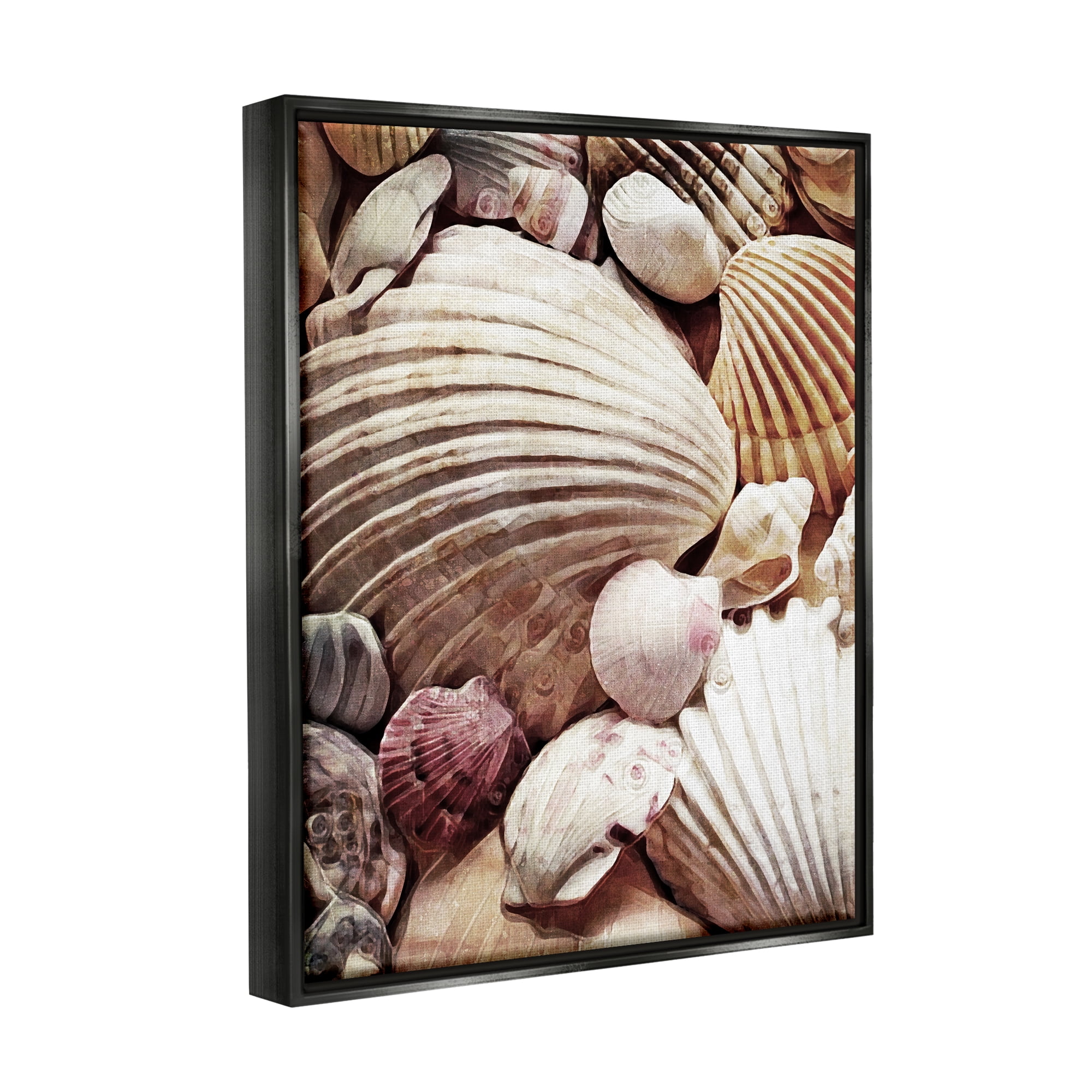 Stupell Various Nautical Clam Conch Shells Landscape Photography Black Floater Framed Art Print Wall Art