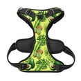 thumbnail image 5 of Gaeub Kiwi and Avocado Gaeub Kiwi and Avocado No Pull Dog Harness, Secure and Adjustable Pet Vest for Outdoor Activities - X-Large, 5 of 8