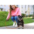 thumbnail image 2 of Dog Leash Rope, Nylon Dog Leash with Soft Padded Handle and Reflective Threads for Puppies and Small Dogs, 150cm x 1.2cm, Orange, 2 of 5