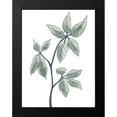 thumbnail image 2 of Prime, Marcus 12x14 Black Modern Framed Museum Art Print Titled - Illustrated Botanicals, 2 of 5