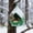 Green, variant on Staron Plastic Outdoor Hanging Bird Feeder, Weather-Resistant Garden Bird Feeder with Hook, Spacious Easy-Fill Birdfeeder for Patio Backyard to Attract Wild Birds, Green