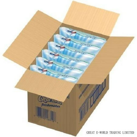 

Charmin Freshmates Flushable Wipes Refills Safe For Sewer And Septic Systems 12 Refill Packs Of 40 Sheets Each 480 Sheets