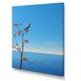 thumbnail image 2 of Designart "Gull'S Seaside Vista" Coastal Wall Art Prints, 2 of 7