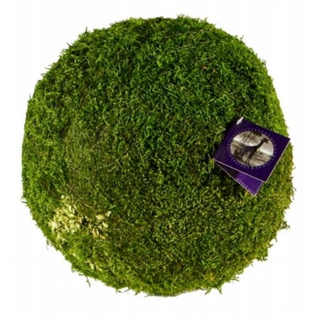 Super Moss 21648 4 In Sheet Moss Ball Green Pack Of 36 Walmart