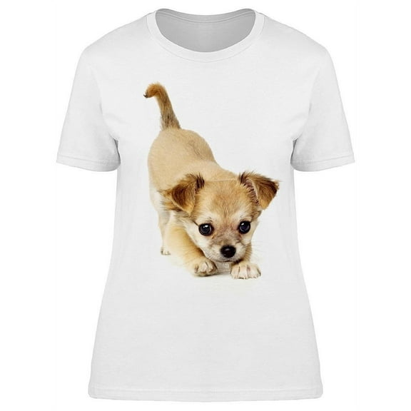 Chihuahua Puppy Posing, Cute T-Shirt Women -Image by Shutterstock, Female XX-Large