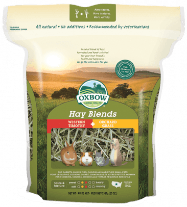 matatabi chew sticks