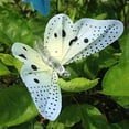thumbnail image 3 of ER Luces de hadas de mariposas solares para exteriores, 10 Led Waterpoof Led Sola brillar Electrónica, 3 of 4