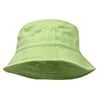 Apple Green