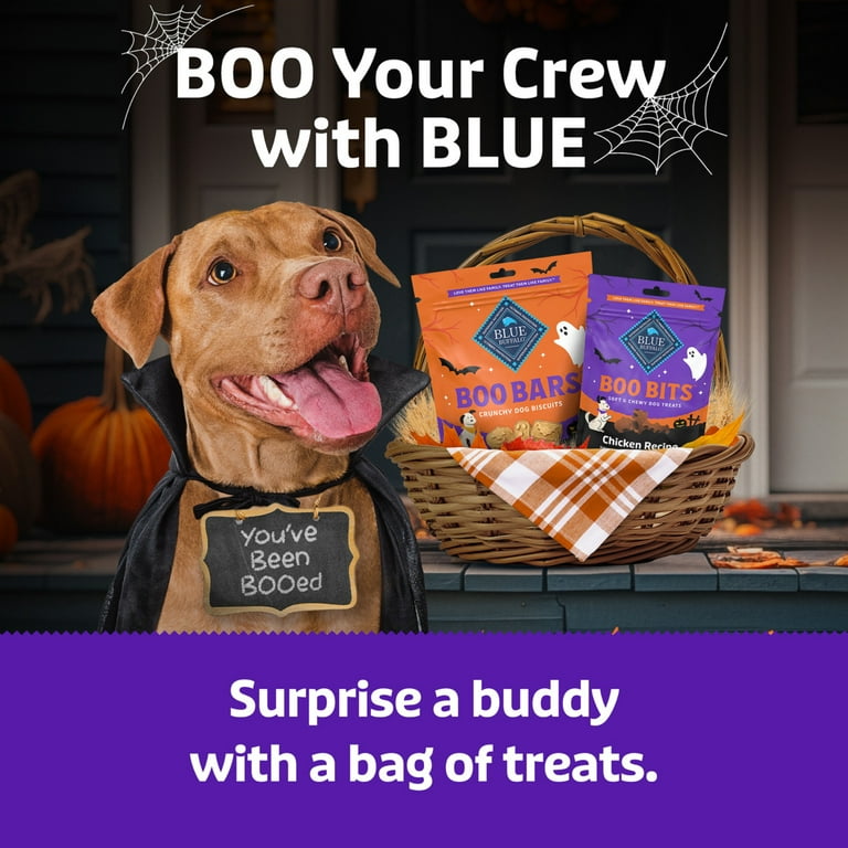ドッグフード Boo. Blue Buffalo Fall Snacks - Boo Bars Crunchy Dog Treats, Pumpkin