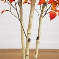 thumbnail image 5 of Nearly Natural 7ft. Autumn Birch Artificial Fall Tree, 5 of 8