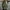 Army Green, variant on DYTTDG Women's Fall and Winter Plus Size Jacket Double Sided Fleece Zipper Solid Color Long Sleeve Hooded Jacket Warm Jacket with Pockets on Clearance Christmas Gift