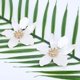 thumbnail image 1 of Pendientes colgantes de flores acrílicas de resina - Flor grande exagerada de estilo europeo y americano ZefeiWu 8390615026291, 1 of 1