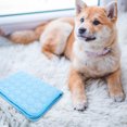thumbnail image 3 of HEALEEP Easy to Clean Cooling Mat Sky-blue Anti-wear Material 1Set, 3 of 8