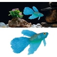 Speelgoed voor Betta Fish - 2-delig met zuignap interactief