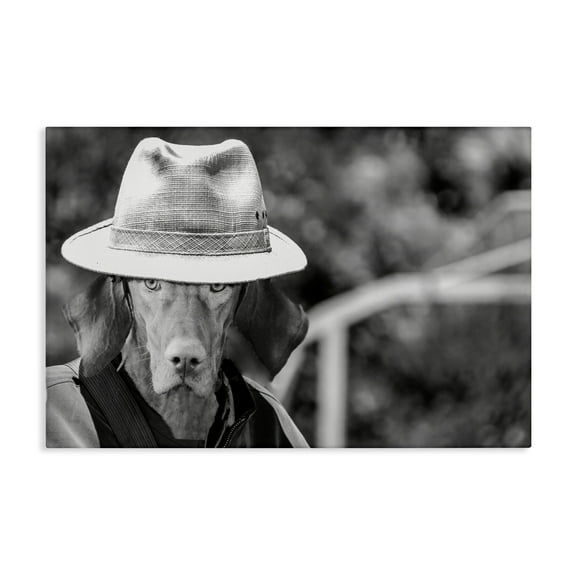 Stupell Industries Country Cowboy Dog Animals & Insects Photography Gallery Wrapped Canvas Art Print Wall Art, 24 x 16