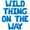 Blue, variant on Letter Balloons - WILD THING ON THE WAY 16" Inch Alphabet Letters Foil Mylar Balloon Baby Shower Party Banner (Purple)