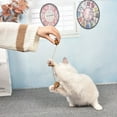 thumbnail image 3 of 2PCS Cat Chew Toy Rattan Ball Bell Pet Play Toy Cat Interactive Toy for Kitten, 3 of 10