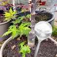 thumbnail image 5 of Bebedero de plantas Ehuebsd Riego por goteo en forma de bola transparente PVC para interiores blanco, 5 of 5