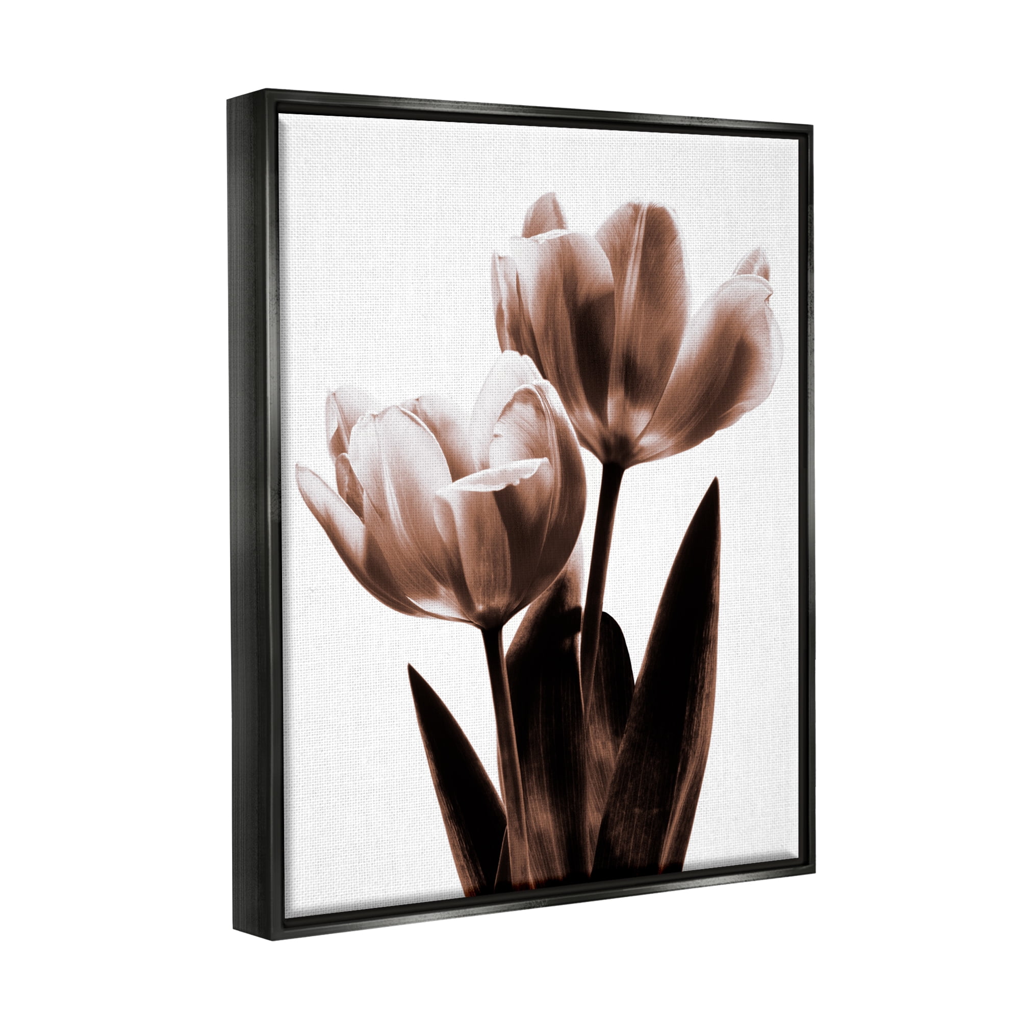Stupell Industries Two Tulips Photography Botanical & Floral Photography Black Floater Framed Art Print Wall Art, 17 x 21