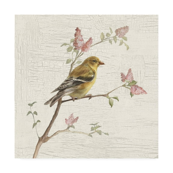 Trademark Fine Art 'Female Goldfinch Vintage Painting' Canvas Art by Danhui Nai