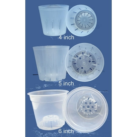 Clear Plastic Pot for Orchids Assortment 4inch, 5inch, (Best Pots For Bromeliads)