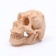 thumbnail image 4 of Injueey Acuario decoración paisajismo cabeza hueso cueva ornamento acuático Artificial Horror espeluznante decorativo pecera caja Prop Kits de decoración para fiestas Injueey HA069210-00B, 4 of 6