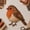 robin, variant on 3D Patchwork Bird DIY Craft Kit, 3D Handmade Fabric Patchwork Craft Set, Creative Bird Sewing Project for Home Decor Display, Relaxing Textile Art Activity for DIY Craft Lovers (owl)