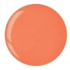 Bright Orange