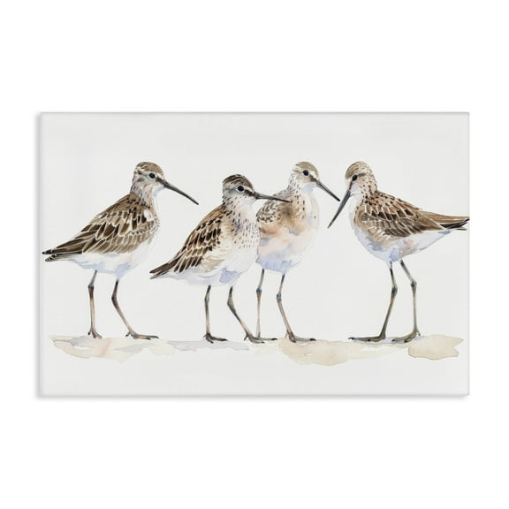 Stupell Industries Sand Pipers Gathered Animals Painting Wrapped Canvas Art Print Wall Art, 24 x 16