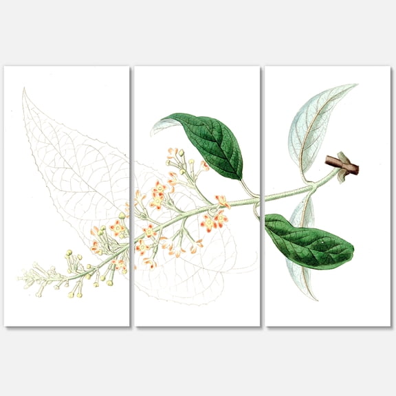 Ancient Plant Life XXVII 28 in x 36 in Painting Canvas Art Print, by Designart