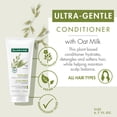 thumbnail image 3 of Klorane Ultra-Gentle Conditioner with Oat Milk - Softens, Hydrates & Detangles Hair - Suitable for the Entire Family, 6.7 fl oz, 3 of 8