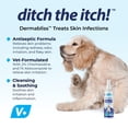 thumbnail image 3 of Spray Ventique Dermabliss con clorhexidina medicinal para perros y gatos, 240 ml, 3 of 8