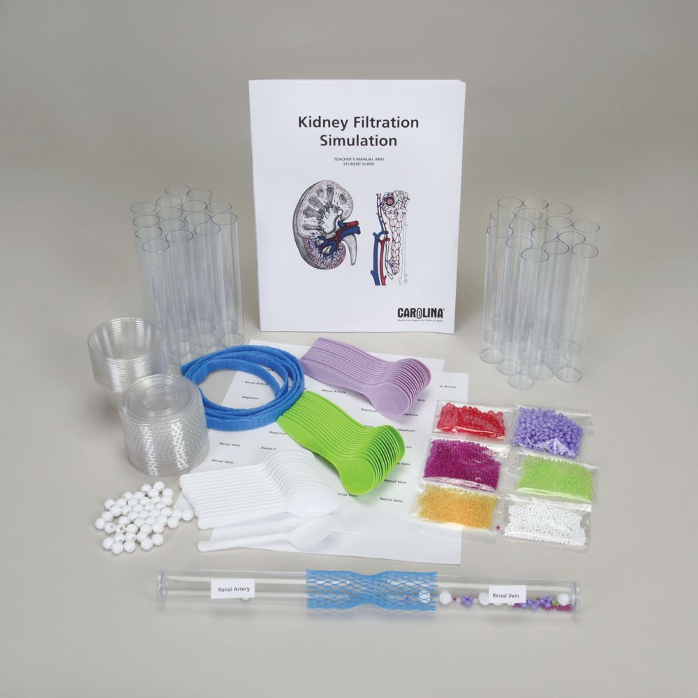 Kidney Filtration Simulation Kit, Materials For 30 Students