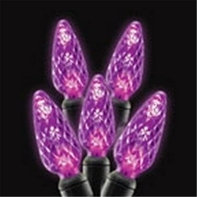C6 LED Brins de Lumière - Violet Pleine Vague