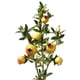 thumbnail image 4 of Ramas artificiales de fruta de granada Sincero 80 cm, 4 of 7