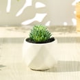 thumbnail image 4 of Mini succulents indoor home decoration simulation plant, 4 of 5