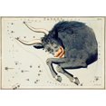 thumbnail image 2 of Hall, Sidney 18x14 Black Ornate Wood Framed with Double Matting Museum Art Print Titled - Astronomical chart illustration of the Taurus, 2 of 4