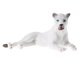 thumbnail image 1 of Fauna / s s Naturaleza y Sunnimix Juguete de figura animal, 1 of 7