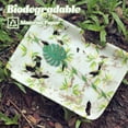 thumbnail image 2 of 10pcs Monstera Paper Straws Glitter Straws Disposable Luau Party Drinks Straws, 2 of 9