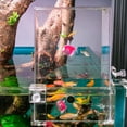thumbnail image 4 of EastVita Acrylic Fish Tower Aerial Extender Fish Tank For Ecological Landscaping Convenient Observation Viewing Area Increase Bigger Space, 4 of 7