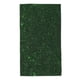 thumbnail image 1 of Fotbe Emerald Green Sparkling Toalla Premium con Patrón, Toalla de Microfibra de Secado Rápido, Ligera y Altamente Absorbente (27.5x16in), Ideal para Uso Diario, 1 of 6