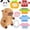 Black, variant on Capybara Plush with 9 pcs Clothes & Accessories, 10.2 in Cute Capybara Stuffed Animal Plush Toys, Dress Up Cute Plushies for Girls/Boys (Pink)