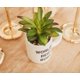 thumbnail image 5 of Planta decorativa artificial con vegetación artificial Silver Buffalo, 5 of 6