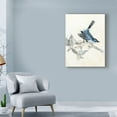 thumbnail image 3 of Trademark Fine Art 'UA CHBR Rustic Aviary III' Canvas Art by Naomi McCavitt, 3 of 4