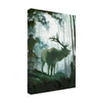 thumbnail image 2 of Jacob Green 'Elemental Animals II' Canvas Art, 2 of 3